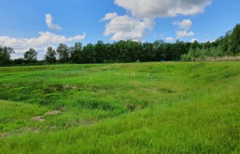 Auf der Suche nach dem Pinneberger Schloss