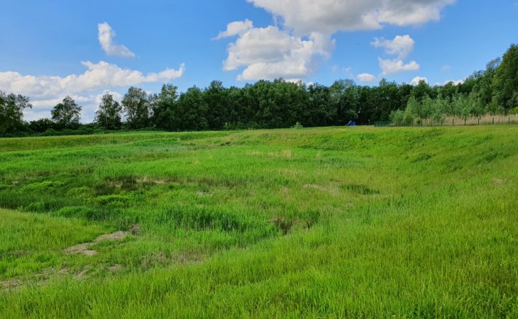 Auf der Suche nach dem Pinneberger Schloss